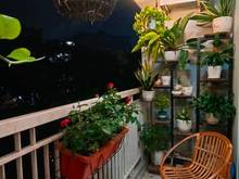 Hình ảnh Chính chủ 75m2 Full nội thất, CC cao cấp SK