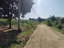 Hình ảnh ✅2336m2 Đất CLN Giá Tốt Nhất Khu Vực