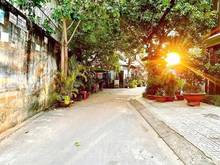 Hình ảnh Cho thuê nhà hẻm xe hơi số 40/5B Nguyễn Văn Đậu, Phường 6, Bình Thạnh