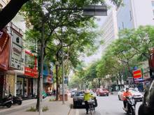 Hình ảnh Đầu tư ! Phố Vip 131 Thái Hà, ô tô tránh, KD, VP, vỉa hè 58m*5T,13 tỷ