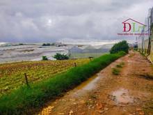 Hình ảnh Bán đất Nguyên Tử Lực Phường 8 Đà Lạt có view hồ Chiến Thắng - MN3393