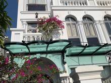 Hình ảnh Bán Biệt Thự Song Lập View cực thoáng, gần ngay khu vui chơi