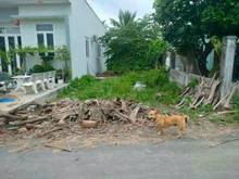 Hình ảnh Bán 168m2 Nhựt Chánh, Bến Lức, gần uỷ ban xã