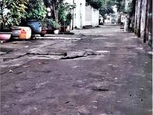 Hình ảnh Bán nhà 2 tầng, gần Lê Trọng Tấn, Tân Phú, 4 x 18, nhỉnh 5 tỷ
