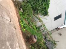 Hình ảnh Bán gấp 54m2 đất Thạch Bàn,lô góc 20m ra ô tô giá chưa đến 3 tỷ