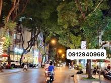 Hình ảnh Biệt thự KĐT Tây Nam Linh Đàm, KD đỉnh, 185m2 x 4T, MT 10m, 29,5 tỷ(TL