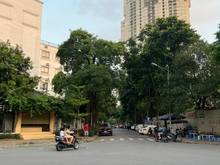 Hình ảnh Nhà Lê Lai- Hà Cầu, 53m2, nhà phân lô liền kề, giá hạt rẻ 5,3 tỷ