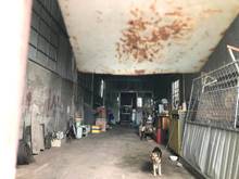 Hình ảnh Bán Kho Xưởng 250m2 Ngang 11M Đường Lớn Thới Tam Thôn Hóc Môn