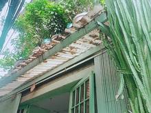 Hình ảnh SÁT HXH - Cao Lỗ, QUẬN 8 - 70m2 (Ngang 5m) - NỞ HẬU - 3 Tỷ Hơn.