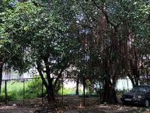 Hình ảnh 🆅🅻🆁 CHÍNH CHỦ cho thuê đất GÓC 2MT 400M2 ngay Chung cư & Trường học