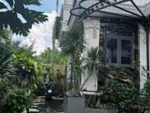 Hình ảnh Bán Biệt Thự 3 Tầng, Kiến Trúc Hiện Đại, Sang Trọng, QL1A An Sương 10.