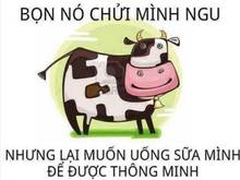 Hình ảnh 2🇵🇹 Bán nhà mặt tiền đường Lê Hồng Phong P7 tp Vũng Tàu