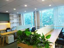 Hình ảnh Cho thuê Địa chỉ Văn Phòng Ảo Q3 và nhiều quận lân cận