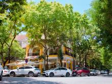 Hình ảnh Cho thuê nhà MP Tô Hiến Thành DT 90m2*4 tầng - MT: 4,5m. Giá 70 triệu