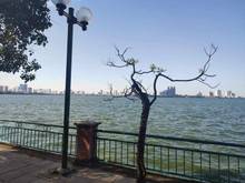 Hình ảnh CẦN BÁN nhà Lạc Long Quân,GẦN PHỐ 2 ÔTÔ TRÁNH,Dừng đỗ ngày đêm 43m9 tỷ