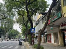 Hình ảnh (Hạ sốc 13 tỷ) Bán NHANH nhà KINH DOANH mặt phố HÀNG BÀI, 90m2, 70 tỷ