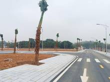 Hình ảnh Bán đất nền việt trì spring city giá chỉ 19tr/m2