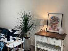 Hình ảnh Cho thuê FELIZ EN VISTA 2pn 2wc full nội thất, thoáng mát chỉ 22TR