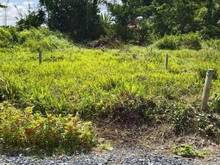 Hình ảnh Bán gấp lô đất thổ cư 139m2, Trảng Bàng, SHR, Giá 550 Triệu.