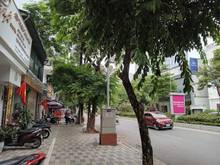 Hình ảnh BÁN ĐẤT TẶNG NHÀ Lạc Long Quân 58m 2T ÔTÔ ĐỖ CỬA,VÀO NHÀ MT 6m 9.8 tỷ.