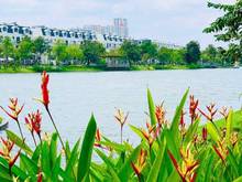 Hình ảnh Cần ra hàng nhanh nhà phố view hồ Lakeview city giá 17.5 tỷ.