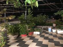 Hình ảnh 1🇵🇹 Bán toà nhà góc 2 MT 1 trệt 5 lầu TTĐT CHÍ LINH 1 tp Vũng Tàu