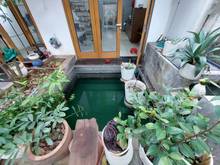Hình ảnh Biệt thự sân vườn An Sương Quận 12, 400m2, trồng rau nuôi gà thả cá