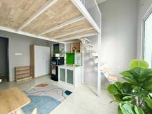 Hình ảnh Duplex mới xây đầy đủ tiện nghi rộng rãi thoáng mát có thể ở liền