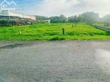 Hình ảnh Bán Gấp 10x42=420m2 Sổ Riêng, Cách Chợ 400m, ở Kinh Doanh Tốt, 290TR