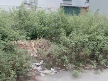 Hình ảnh Bán nhanh lô đất MD 14 Mi Điền giá siêu cắt lỗ