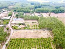 Hình ảnh Cần Bán Gấp Vài Nền Đất Cách Chợ Chiều Phước Đông 600m - Diên tích5x30