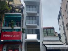 Hình ảnh Cho thuê nhà nguyên căn MT Lê Thị Hồng Gấm Q1 (4x10m) 6 tầng TM 65tr