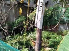 Hình ảnh Đất siêu mềm, nhỉnh 3 tỷ, ngã ba Long Thạnh Mỹ, TP.Thủ Đức