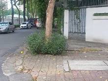 Hình ảnh Cho thuê nhà Trích Sài Tây Hồ KD đa ngành Siêu rộng thương hiệu cao