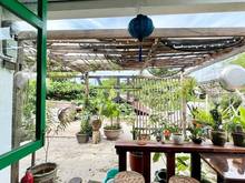 Hình ảnh 🌈Penthouse Cao Cấp-Sân Vườn rộng trồng cây-Nguyễn Văn Hưởng-Thảo Điền