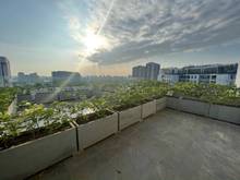 Hình ảnh Bán Penthouse Dlusso sân vườn Quận 2, DT 78m2 sàn + lửng 50m2 giá 7.8