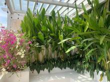 Hình ảnh ngay mũi tàu Cộng Hòa, Tân Kỳ Tân quý, 125m2 x 5 tầng, nhỉnh 11 tỷ