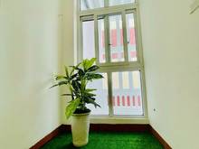 Hình ảnh Đội Cấn phân lô, 2thoáng NHÀ ĐẸP NỘI THẤT XỊN 66m,5T, MT 4.5m 10.7tỷ