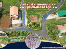 Hình ảnh dất nền biệt thự 3 mặt tiền đường trương định
