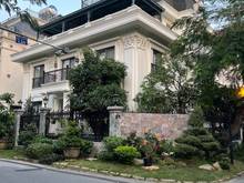 Hình ảnh Cho thuê Biệt Thự hồ bơi siêu sang trọng Phú Mỹ Hưng Q7 DTSD 700m2
