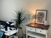 Hình ảnh cho thuê Trang Chủ MB66.COM / Đăng Ký Tặng 66K CC FELIZ EN VISTA