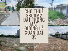 Hình ảnh Cho thuê 3800m2 đất mặt tiền Lã Xuân Oai