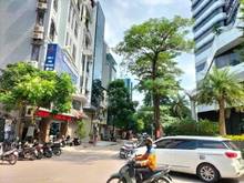 Hình ảnh Bán 50m2 ĐẤT, MT7m - Phố Lộc, Xuân Đỉnh - ÔTÔ KD sầm uất – Nhỉnh 15 tỷ