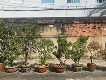 Hình ảnh Bán Đất Quận Phú Nhuận 40m2 gần Chợ Nguyễn Đình Chiểu giá rẻ 5 tỷ 200