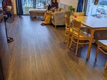 Hình ảnh Bán gấp Trang Chủ MB66.COM / Đăng Ký Tặng 66K 𝐁𝐨𝐭𝐚𝐧𝐢𝐜𝐚 𝐏𝐫𝐞𝐦𝐢𝐞𝐫 DT 75m2 2pn 2wc full NT