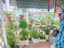 Hình ảnh Bán nhà Khâm Thiên 5 tâng sổ đỏ 2,15 tỷ 3 ngủ ở ngay, ngõ thoáng sạch