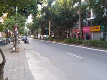 Hình ảnh Cho thuê nhà Biệt thự mặt phố khu đô thị Xa La, Hà Đông.