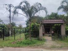 Hình ảnh ✅Vườn Sầu Riêng Năm Thứ 7 Đã Thu Hoạch Mặt Tiền Đường Phú An Giá 10 Tỷ