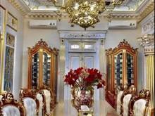 Hình ảnh Bán Nhà BIỆT THỰ  DT 215M2 Ngang 9M ó 9PN, Phòng Gym,Gara