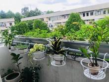 Hình ảnh Giá tốt nhất khu vực Trang Chủ MB66.COM / Đăng Ký Tặng 66K 43 Hồ Văn Huê, Phú Nhuận-49m2-1,95 Tỷ